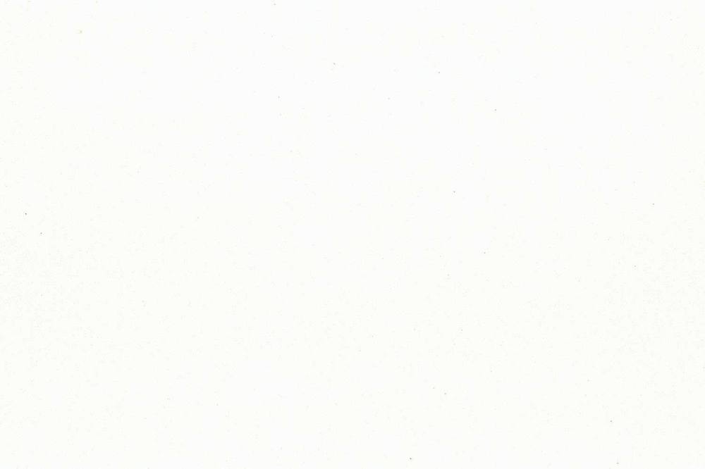 Arctic White