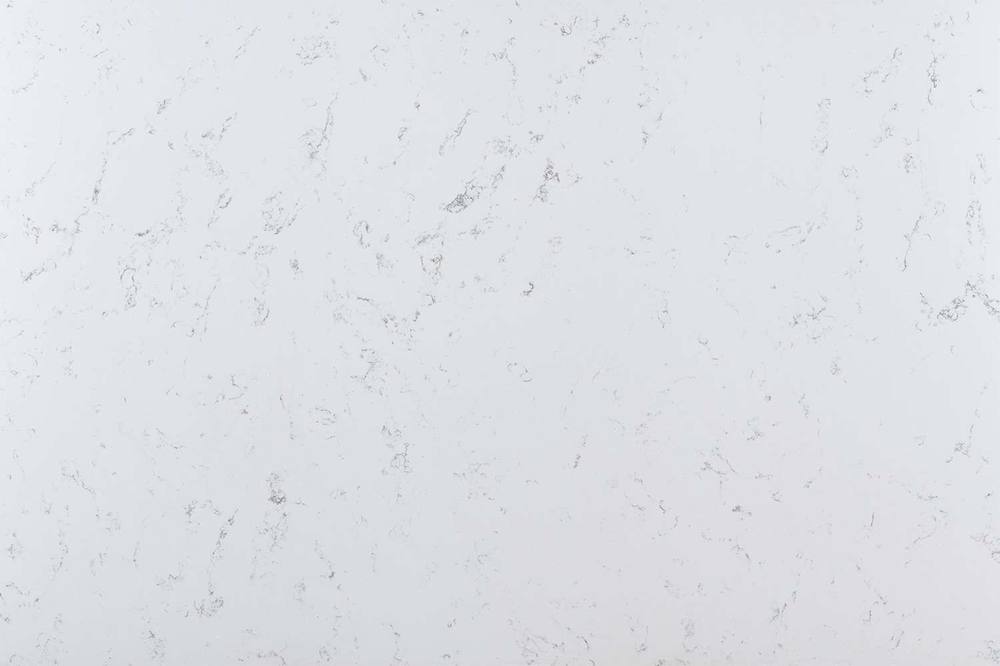 Bianco Swan