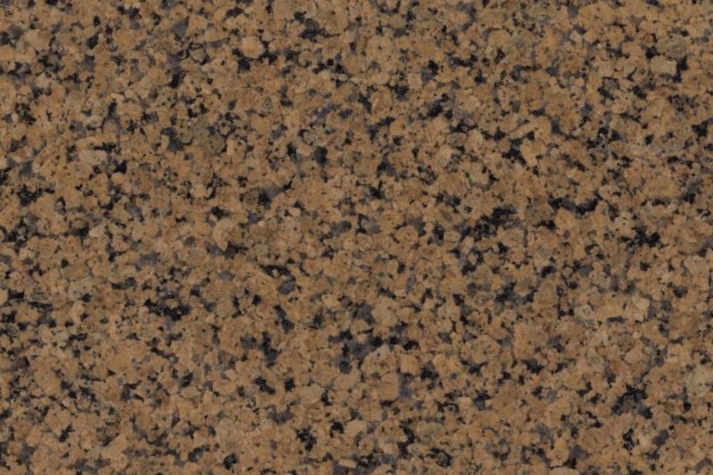 Tropical Brown