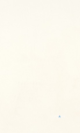 1111 Vivid White