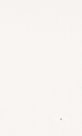 1141 Pure White