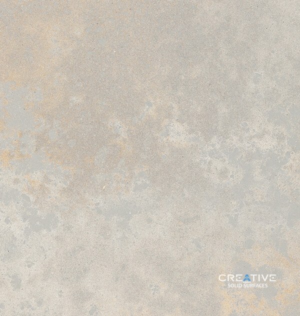 4043 Primordia