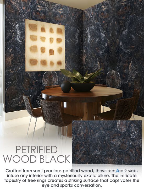 Petrified Wood Black