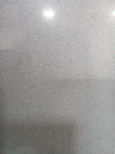 Argentine Grey