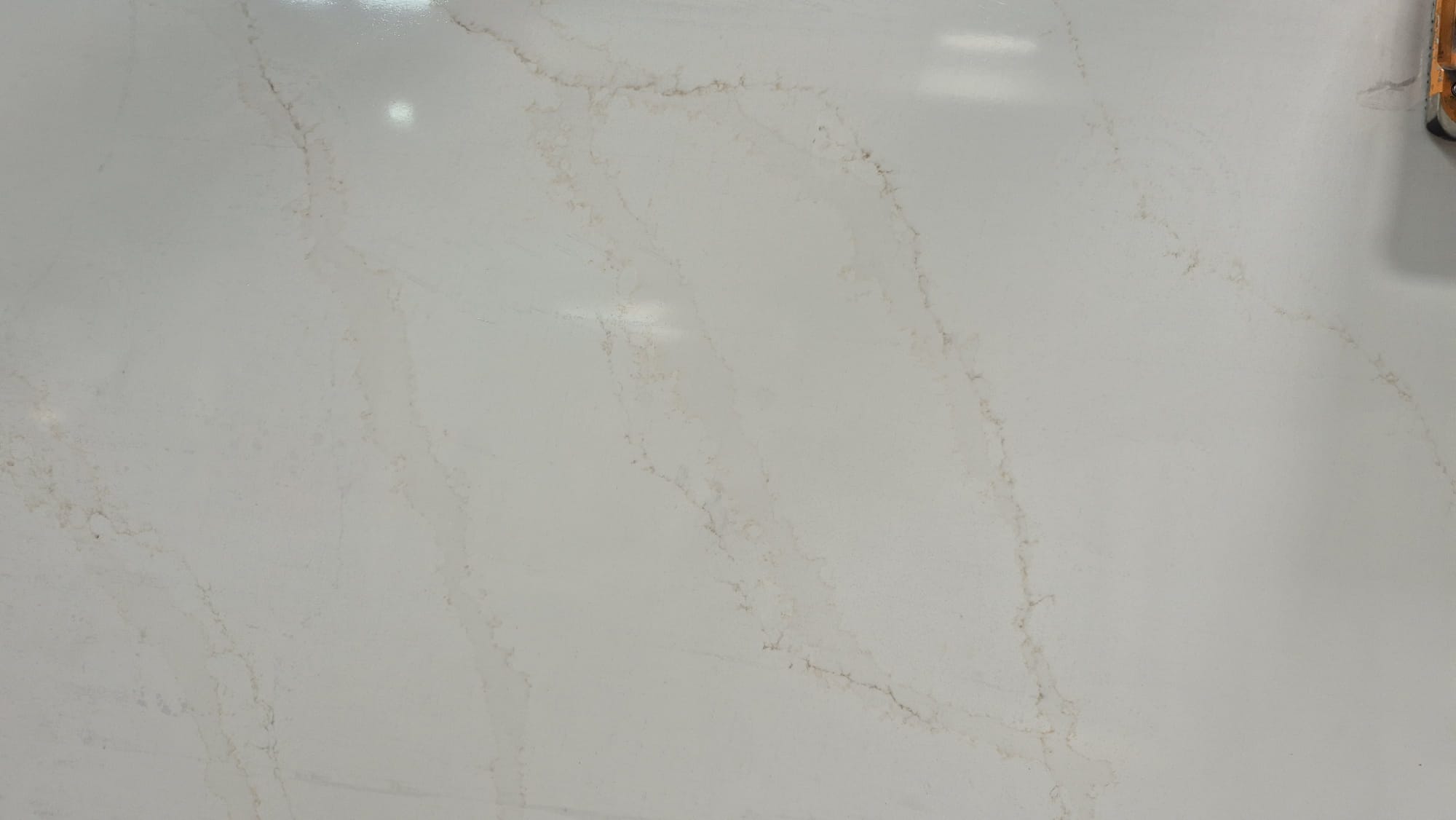 Calacatta Arya Gold