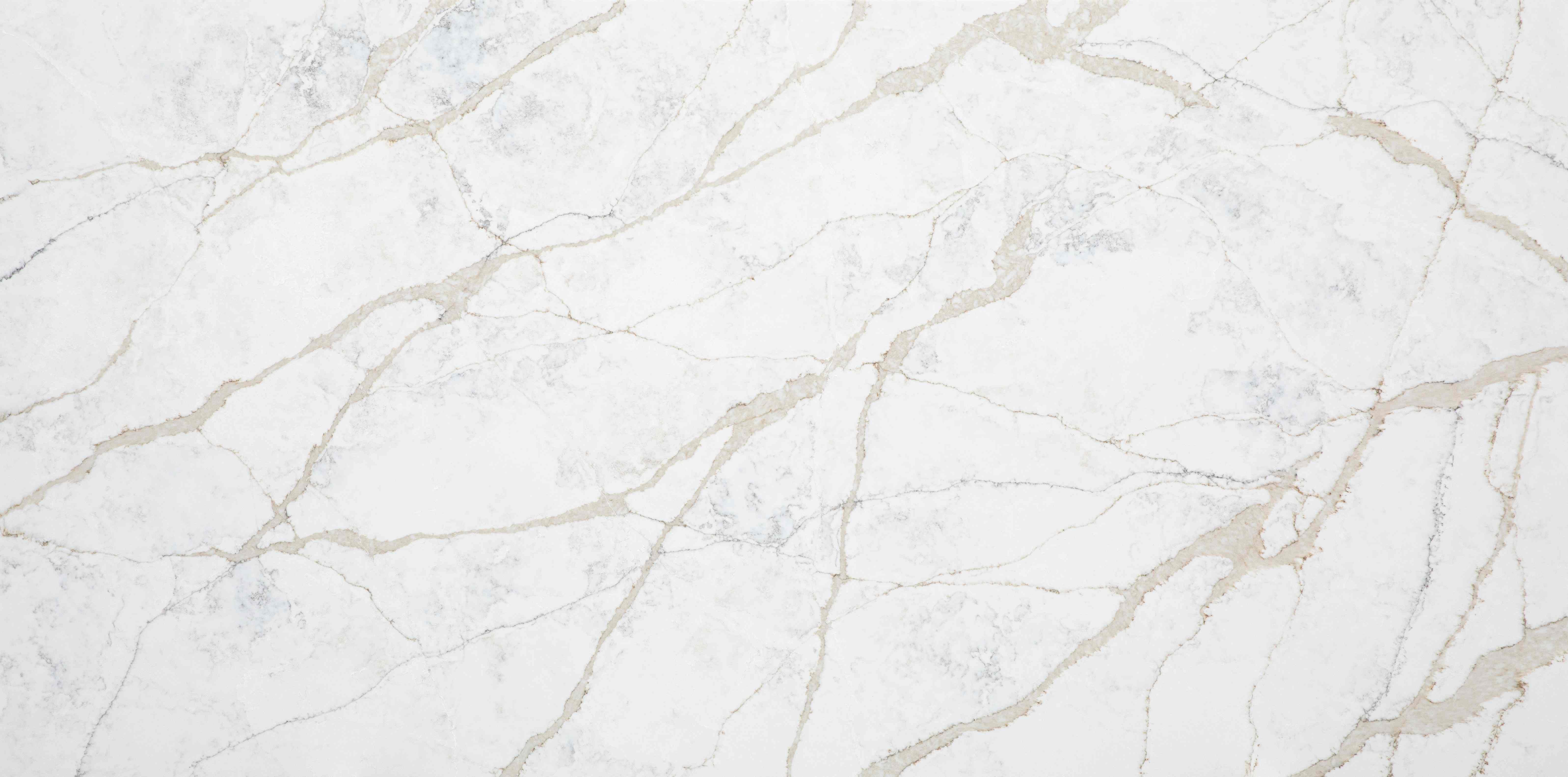 Calacatta Designer