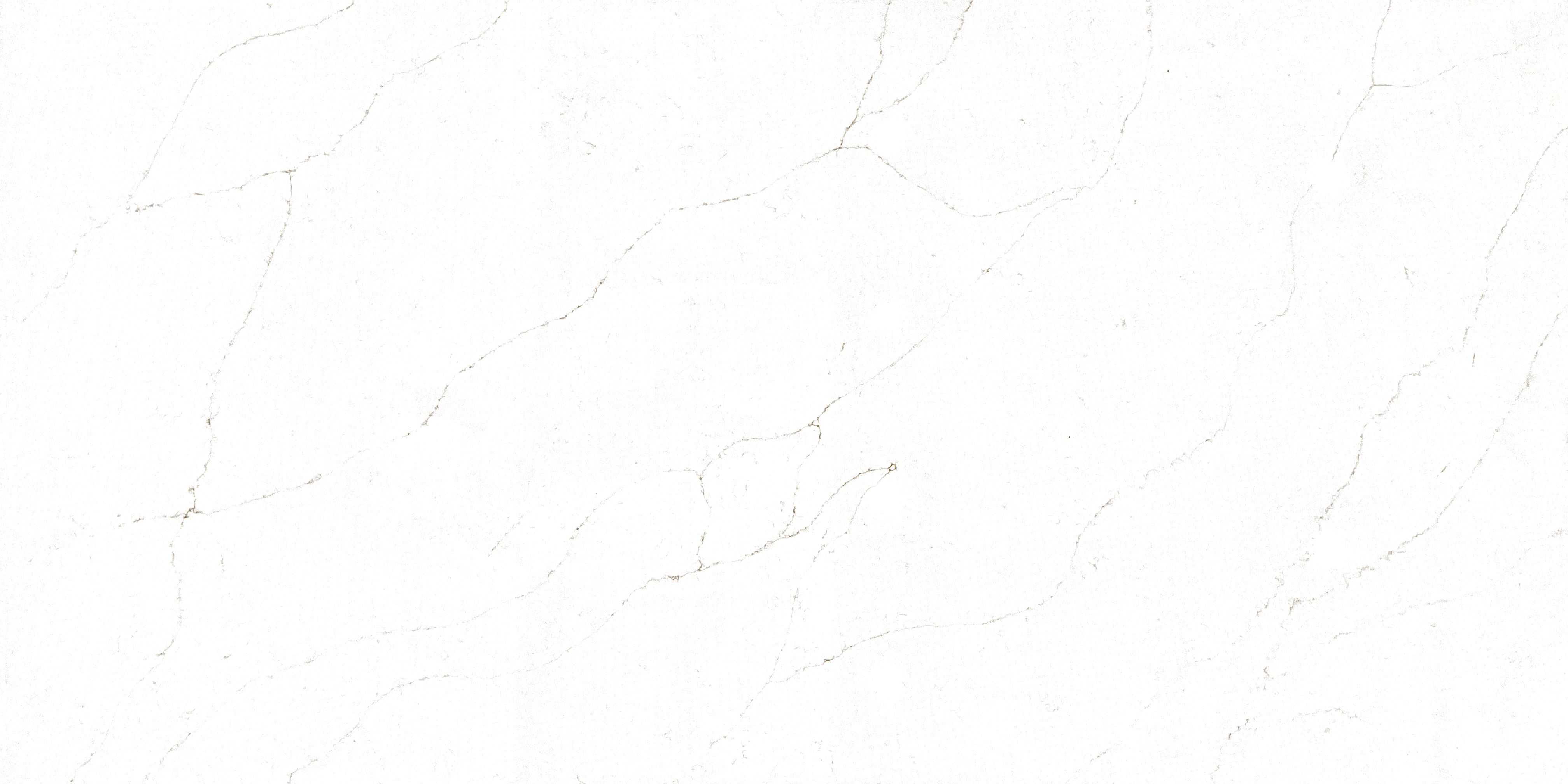 Calacatta Lincoln Gold