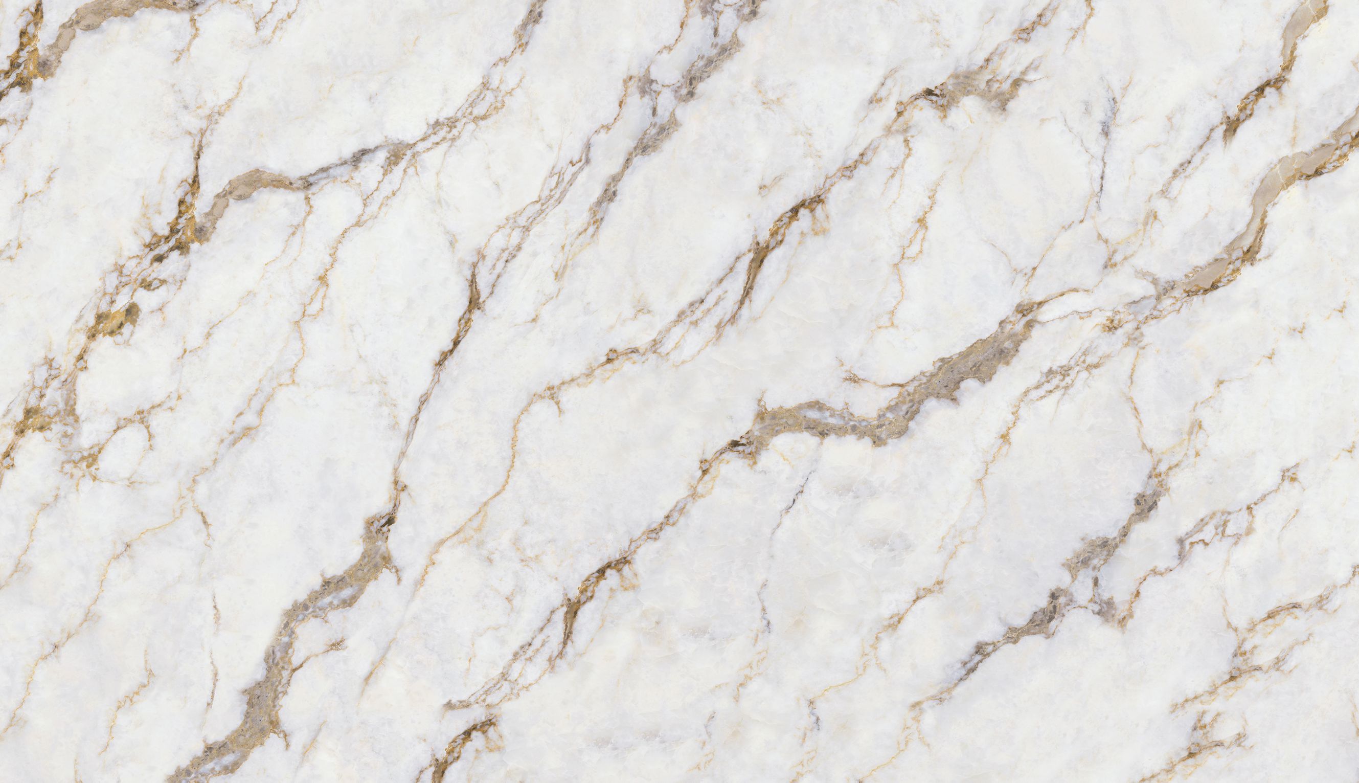 Calacatta Marilia Gold