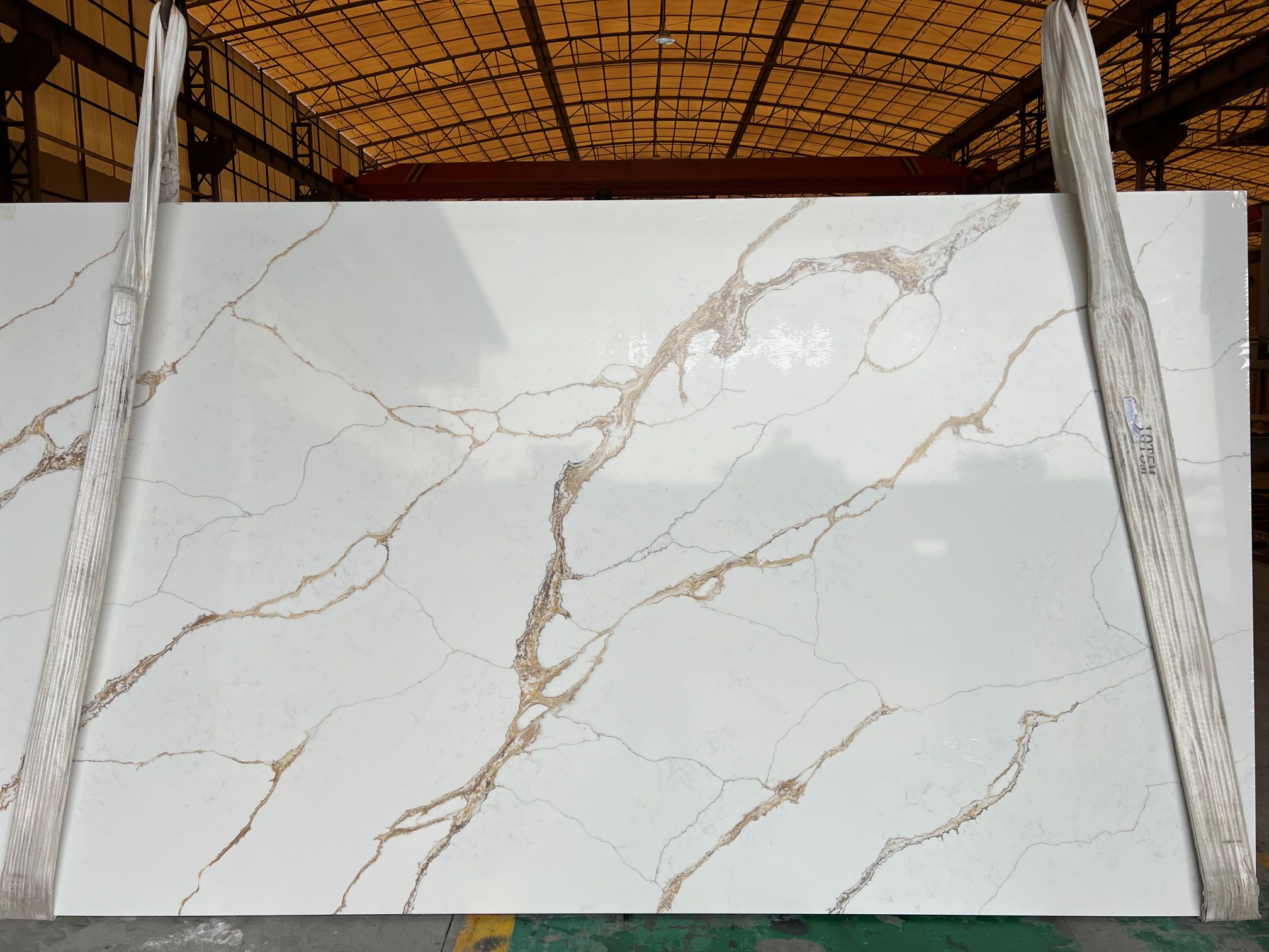 Calacatta Nova Gold