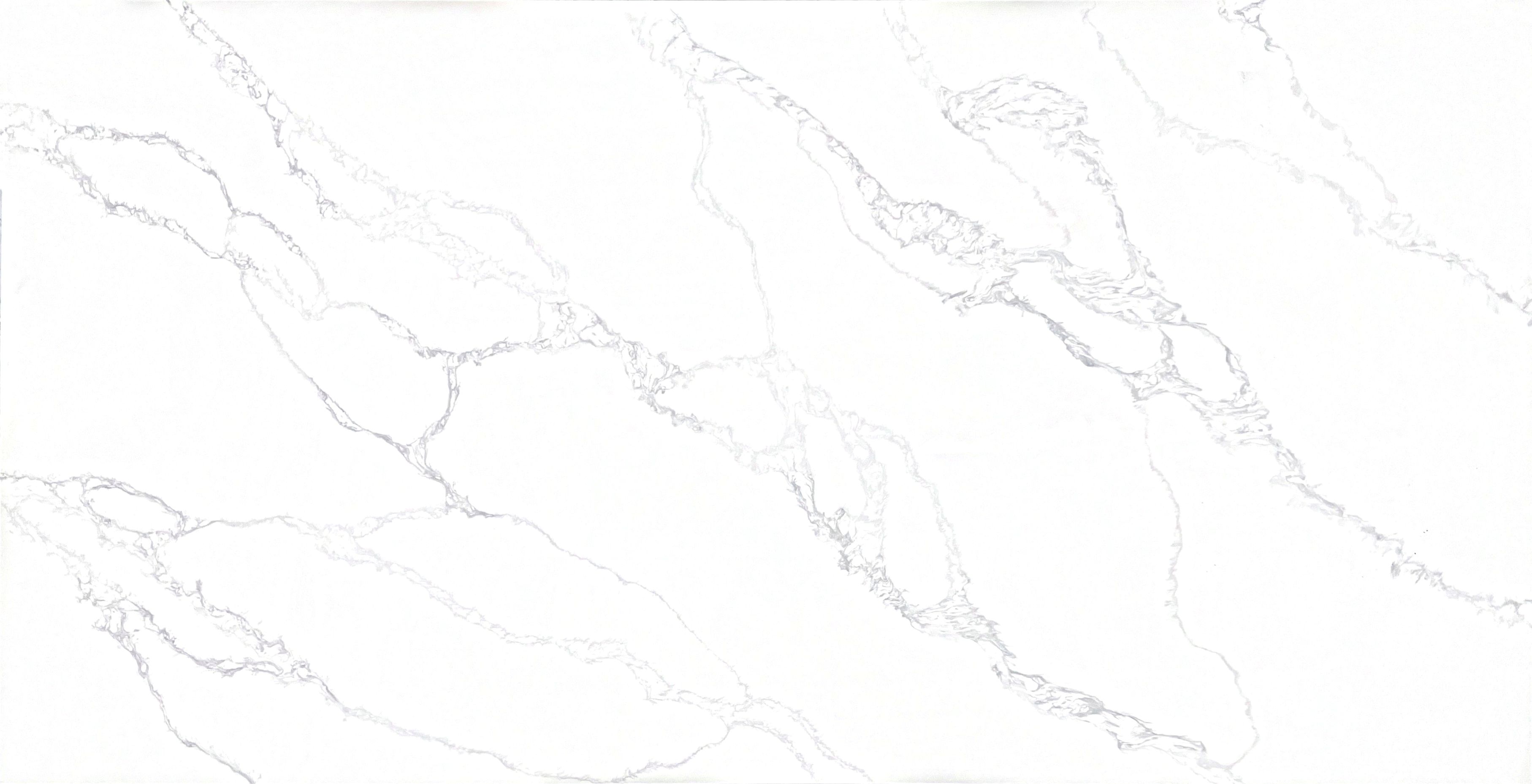 Calacatta Raymond