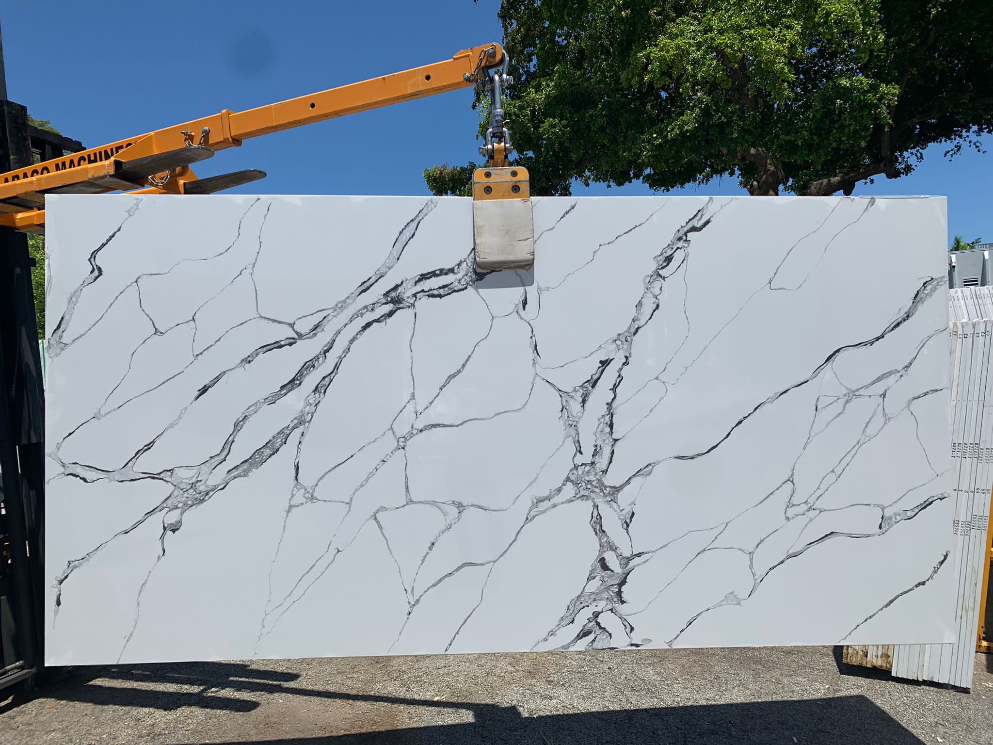 Calacatta Siena Dark