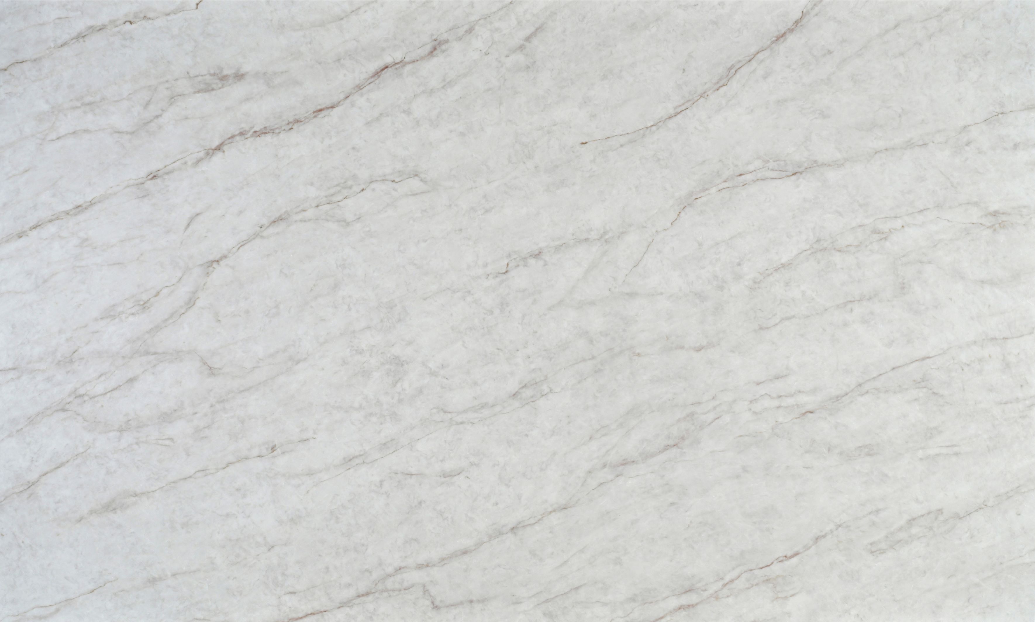 Calacatta Taj Light
