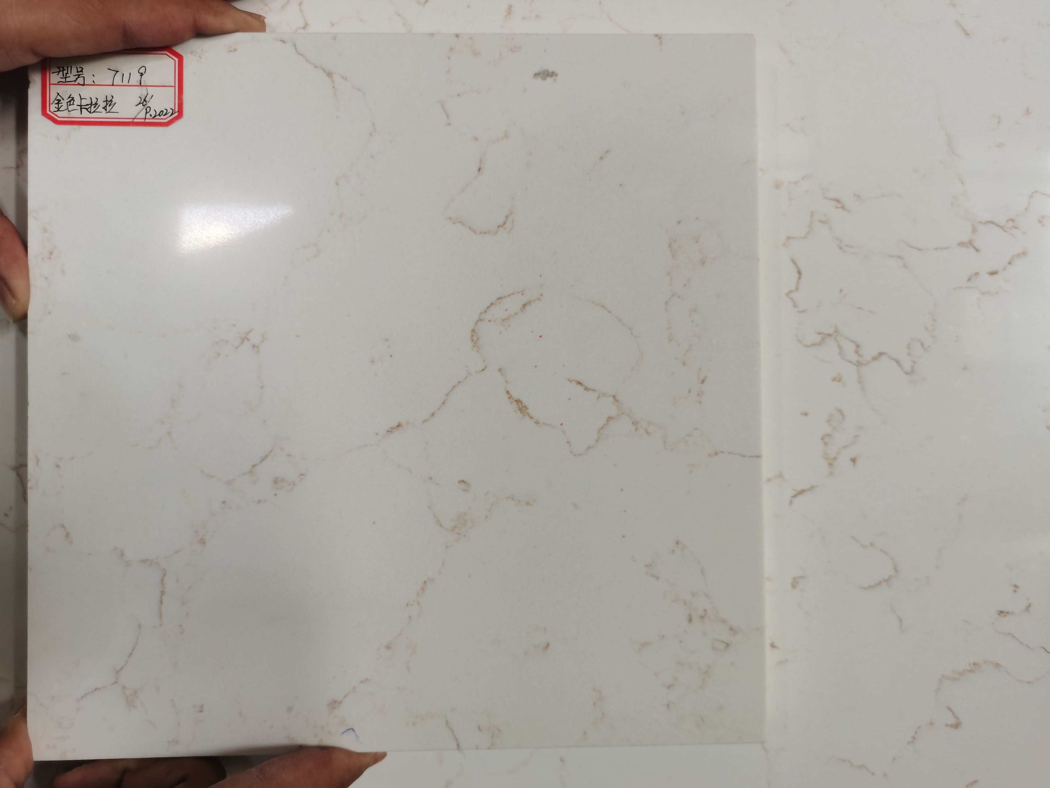 Carrara Abraba Gold