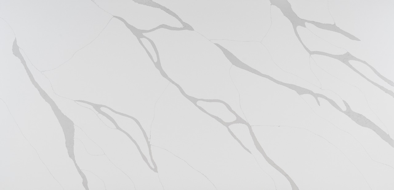 Cosmos Calacatta Grey