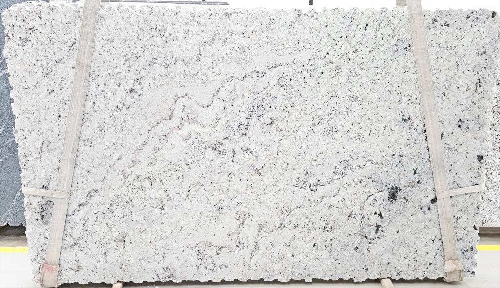 White Galaxy