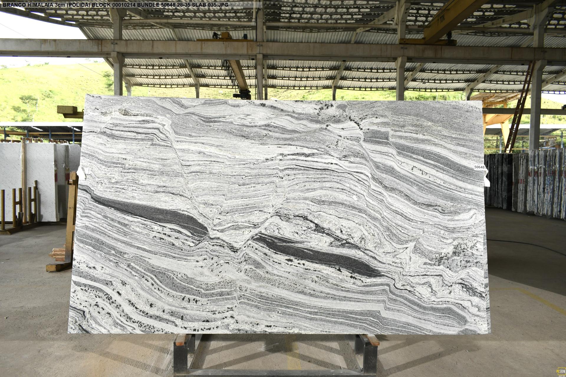 White Himalaya